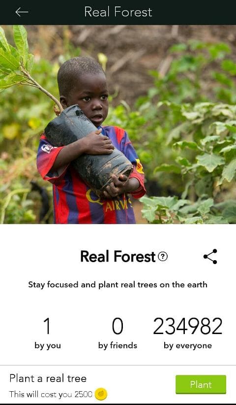 real forest