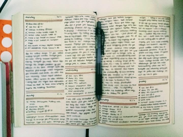daily spread